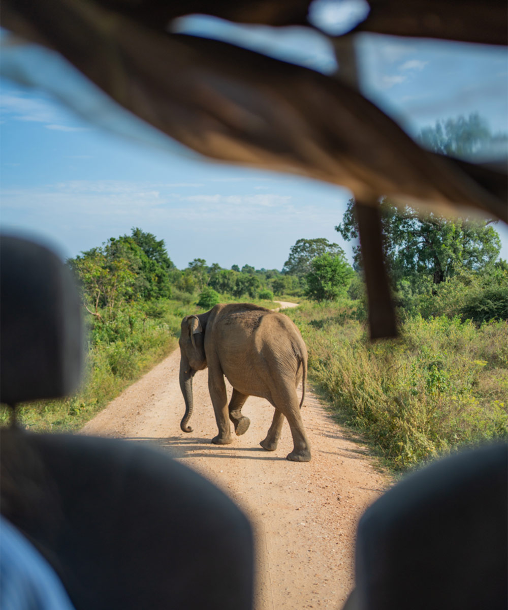Exciting experience for travelers and explorers gallery image