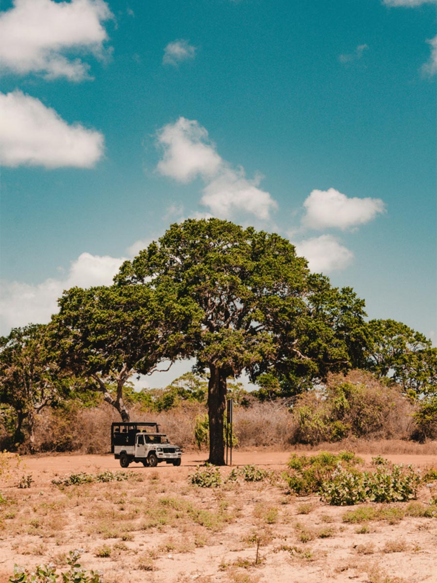 Exciting experience for travelers and explorers gallery image