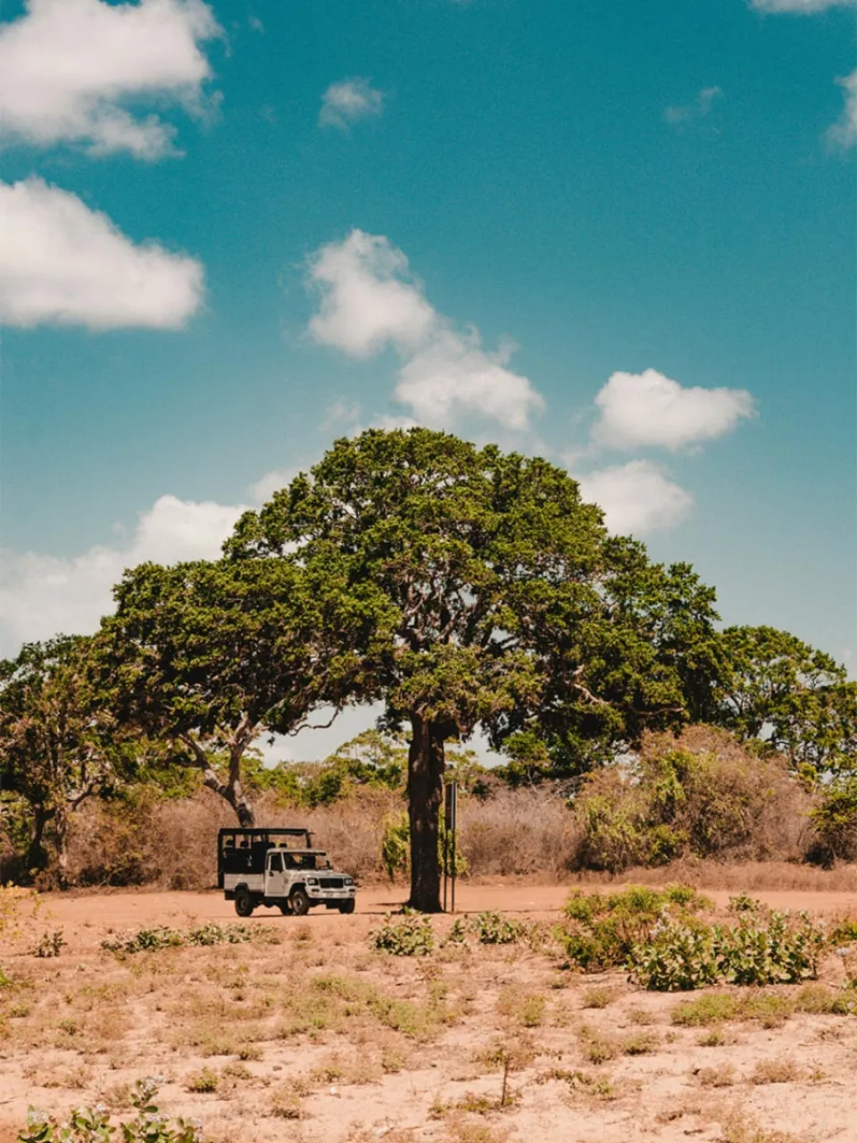 Yala Jeep Safari - Memorable travel experience photo — gallery photograph 4