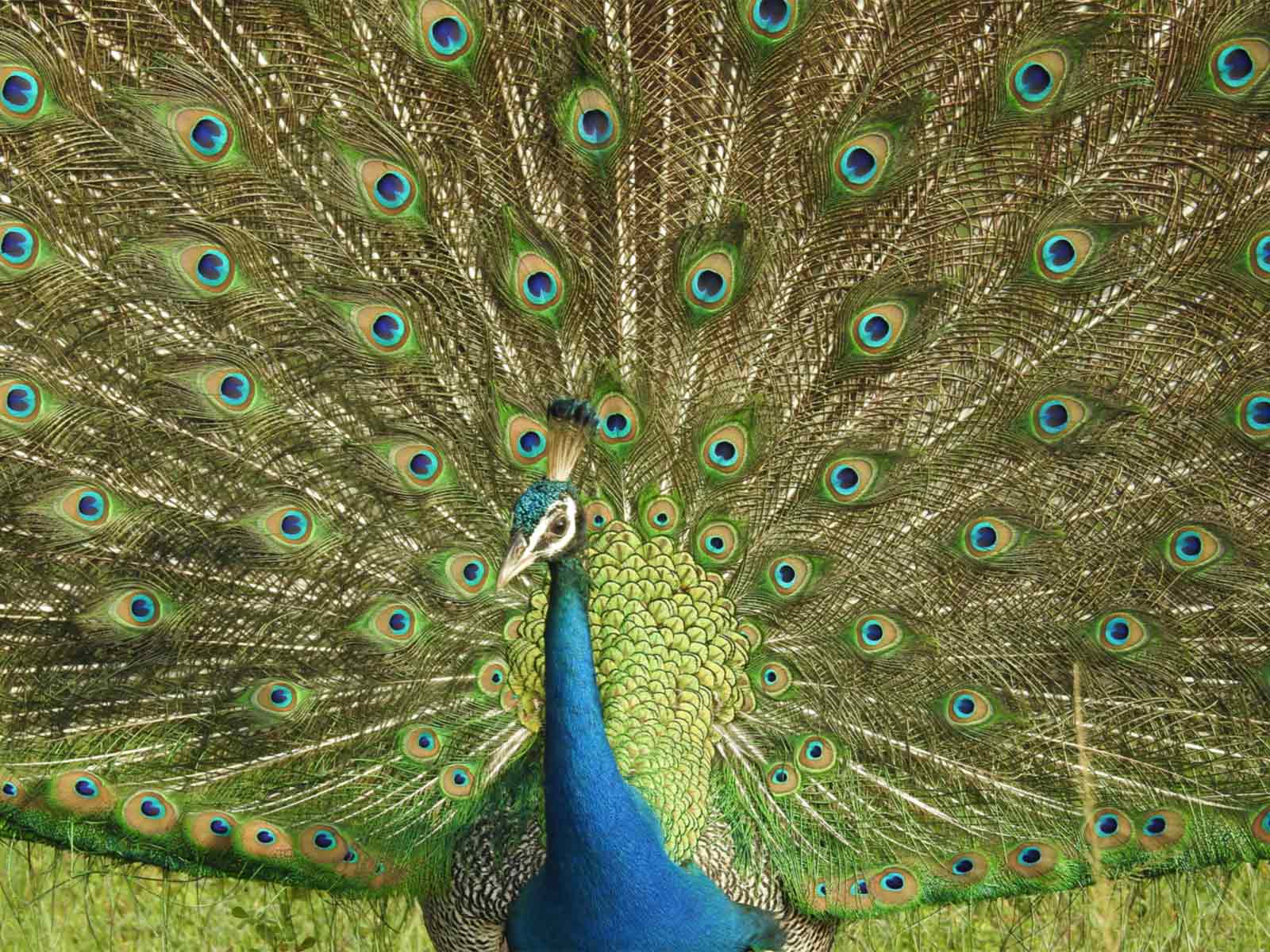 Exciting experience for travelers and explorers gallery image