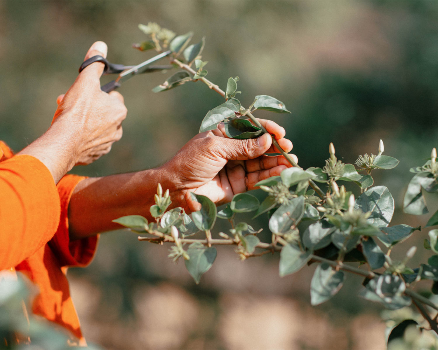 Exciting experience for travelers and explorers gallery image