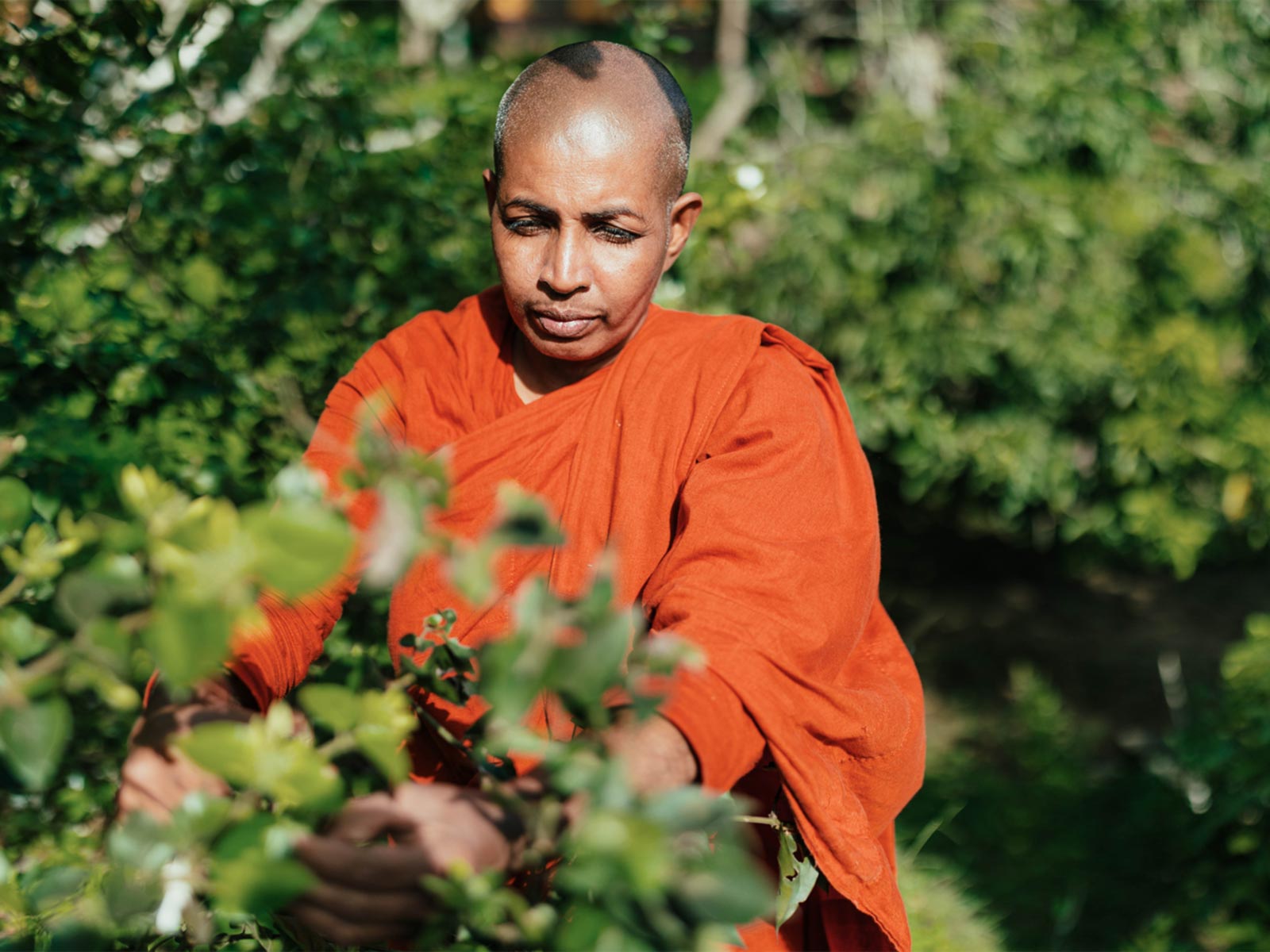 Exciting experience for travelers and explorers gallery image