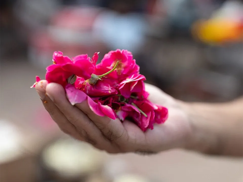 Morning Flower Market — experience photograph