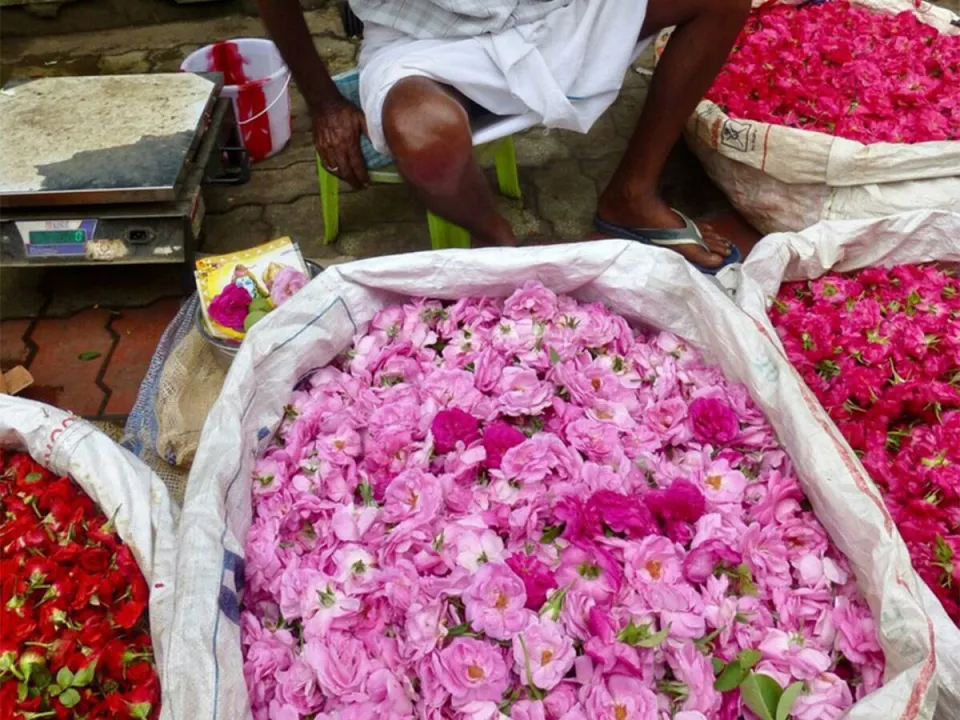 Madurai - Early Morning Walking Tour — experience photograph