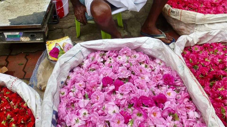 Madurai - Early Morning Walking Tour — experience photograph