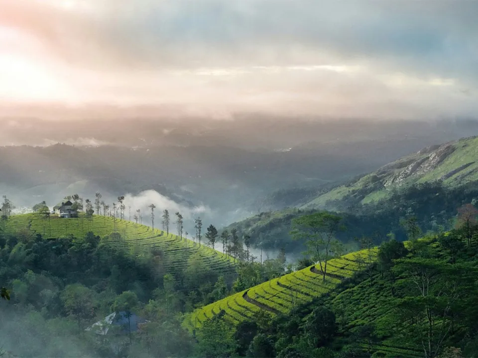 Top Station Trek — experience photograph