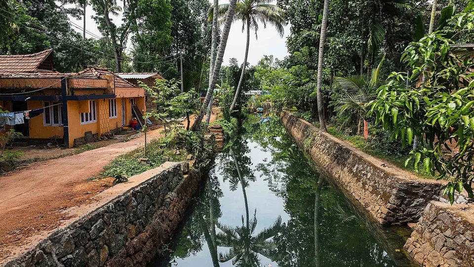 Kayaking In The Backwaters — experience photograph