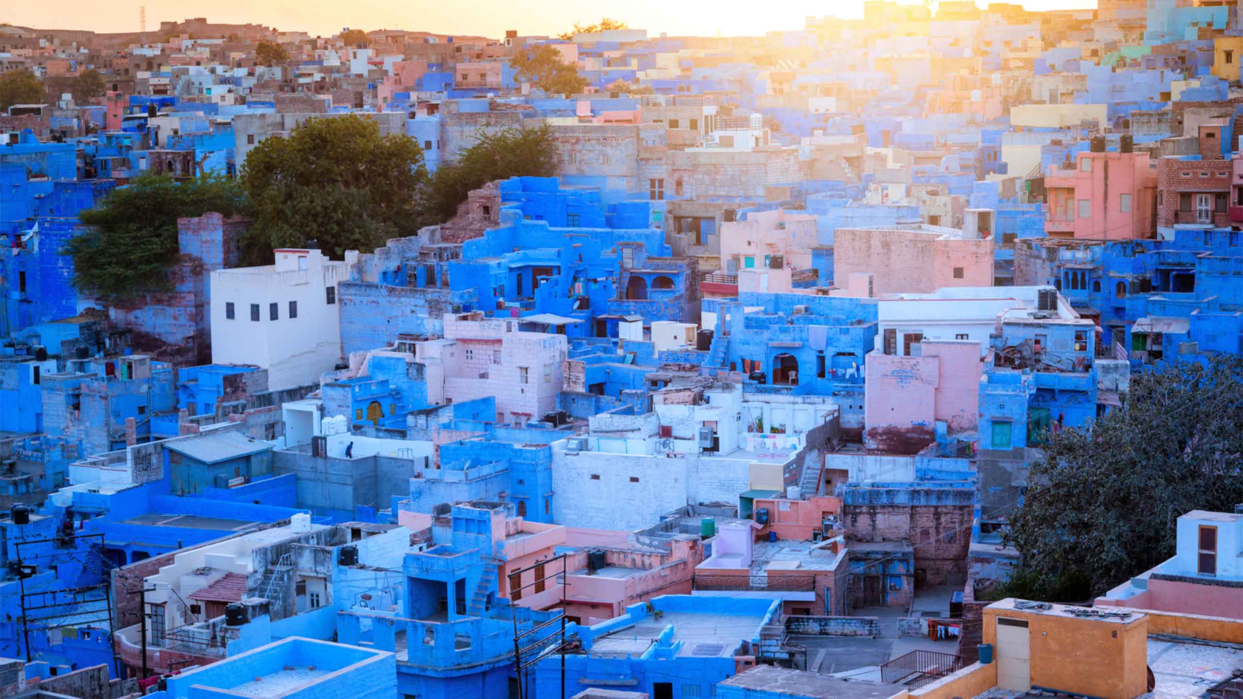 Unforgettable adventure showcasing local culture and breathtaking landscapes