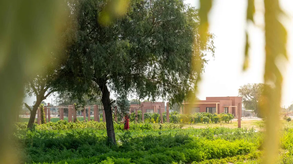 Experience Mharo Khet farm with Lunch — experience photograph