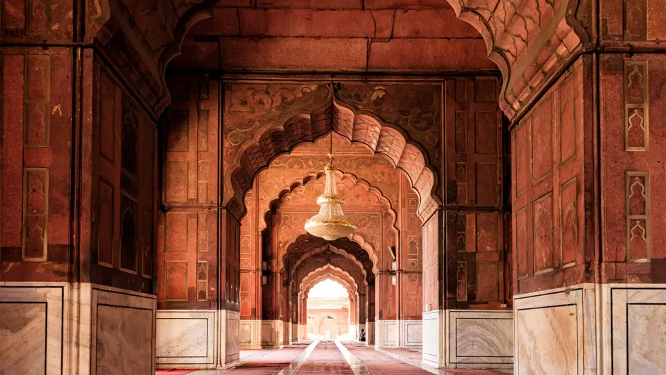 Explore New Delhi And Old Delhi — experience photograph