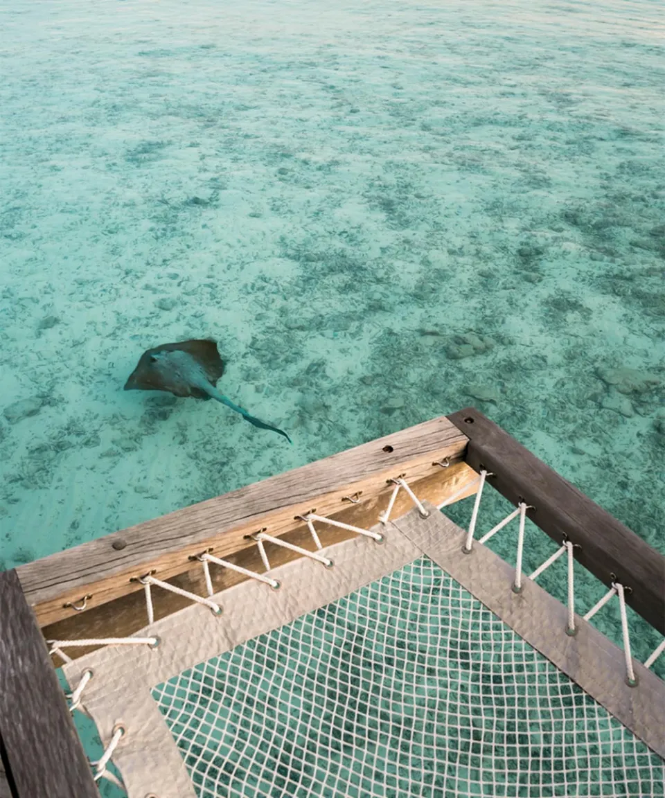 What we love — gallery photograph 3