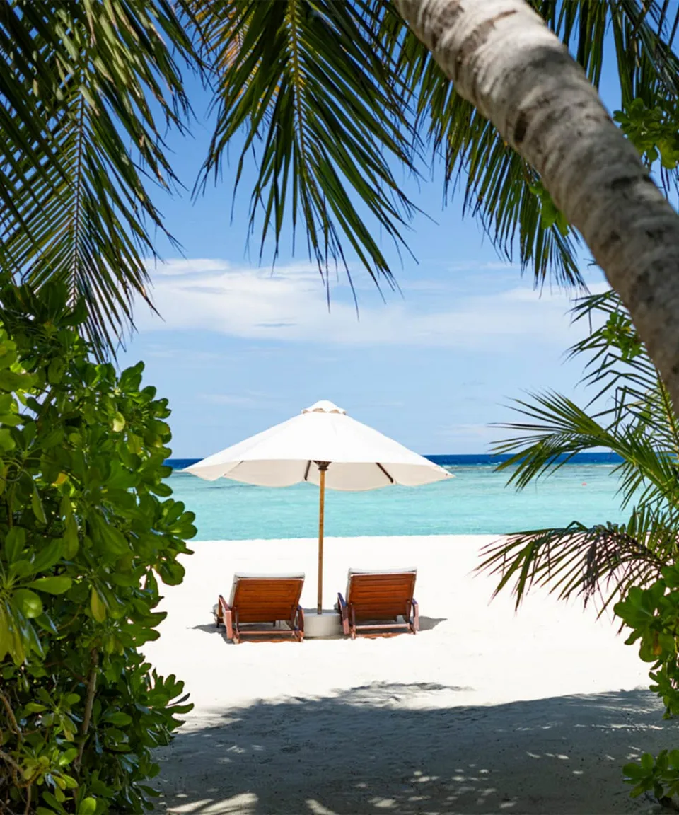 Luxury hotel gallery image — gallery photograph 4