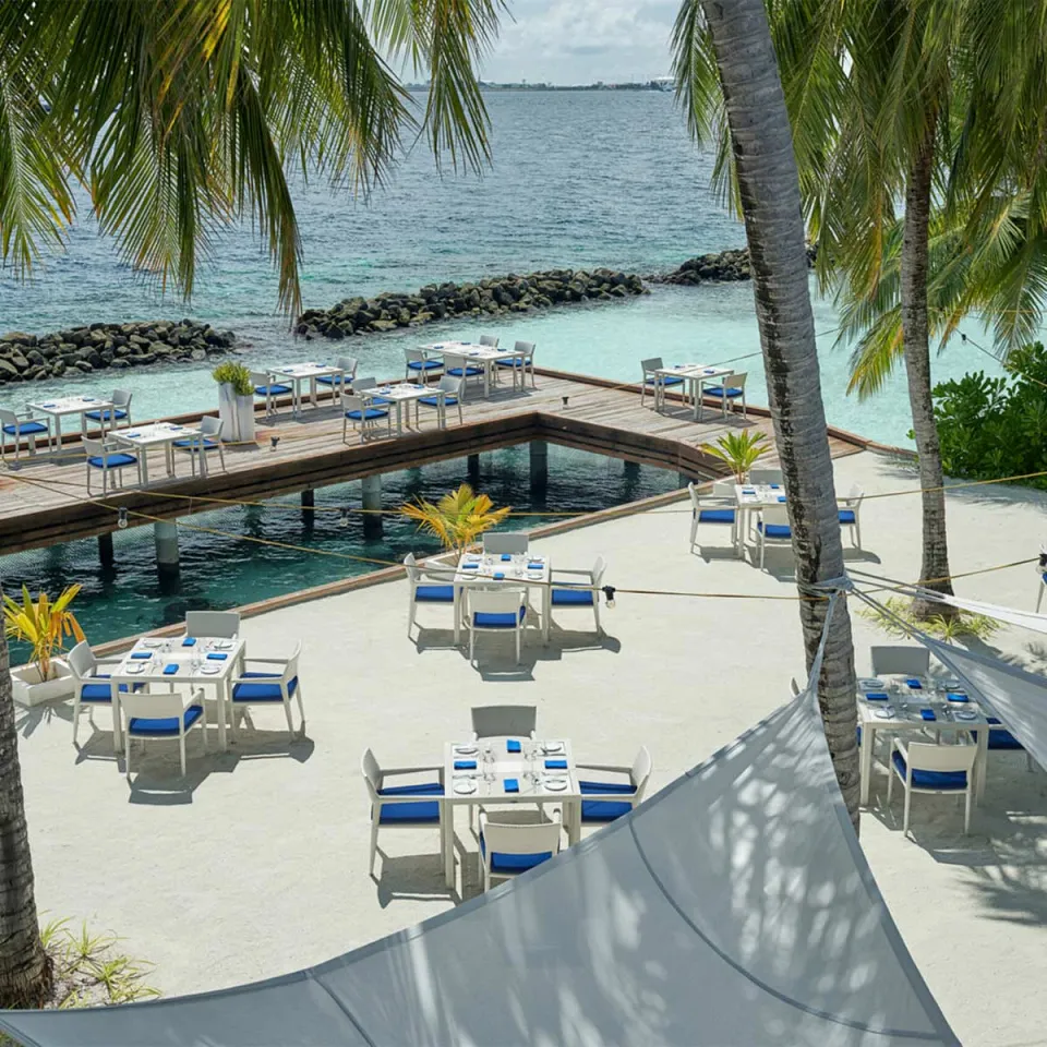 Luxury hotel gallery image — gallery photograph 8