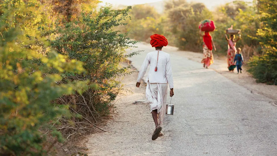 Shahpura is a timeless example of the laidback beauty of rural Rajasthan; vivid emera — hero photograph