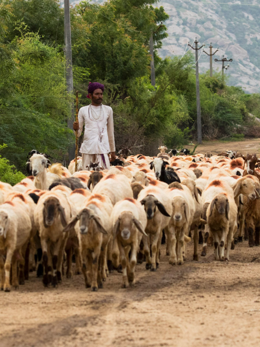 Luxury hotel gallery image