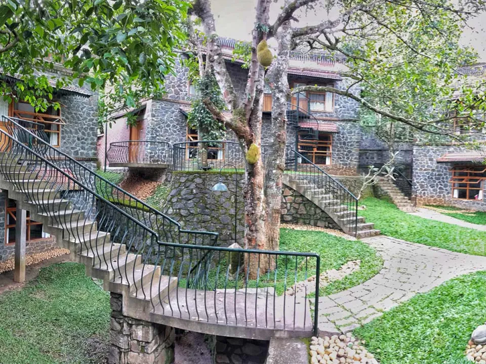 Wildernest — hotel photograph