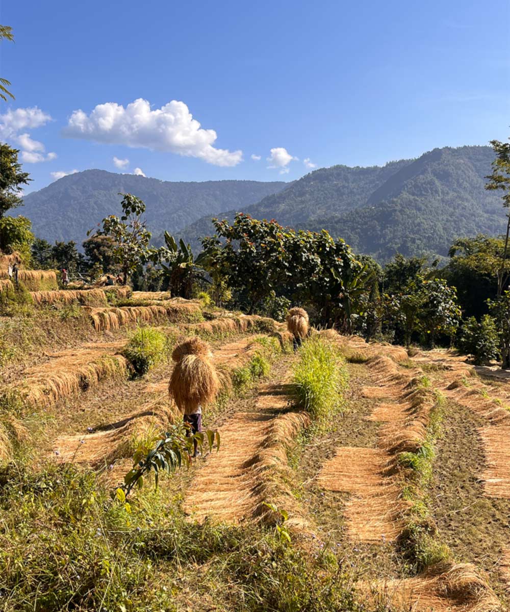 Luxury hotel gallery image