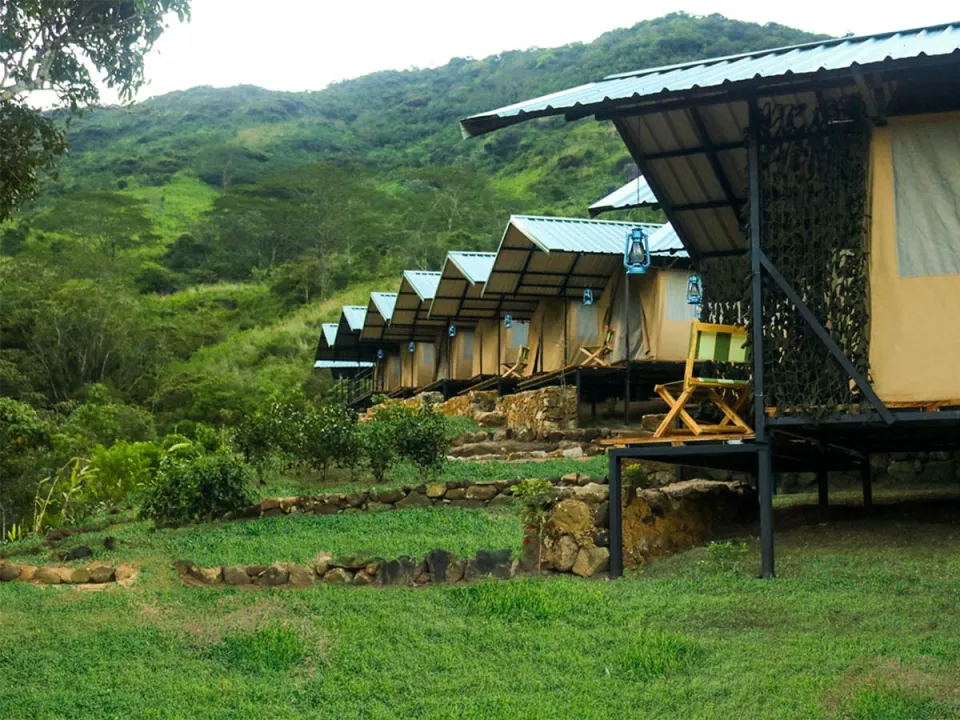 Wild Glamping — hotel photograph
