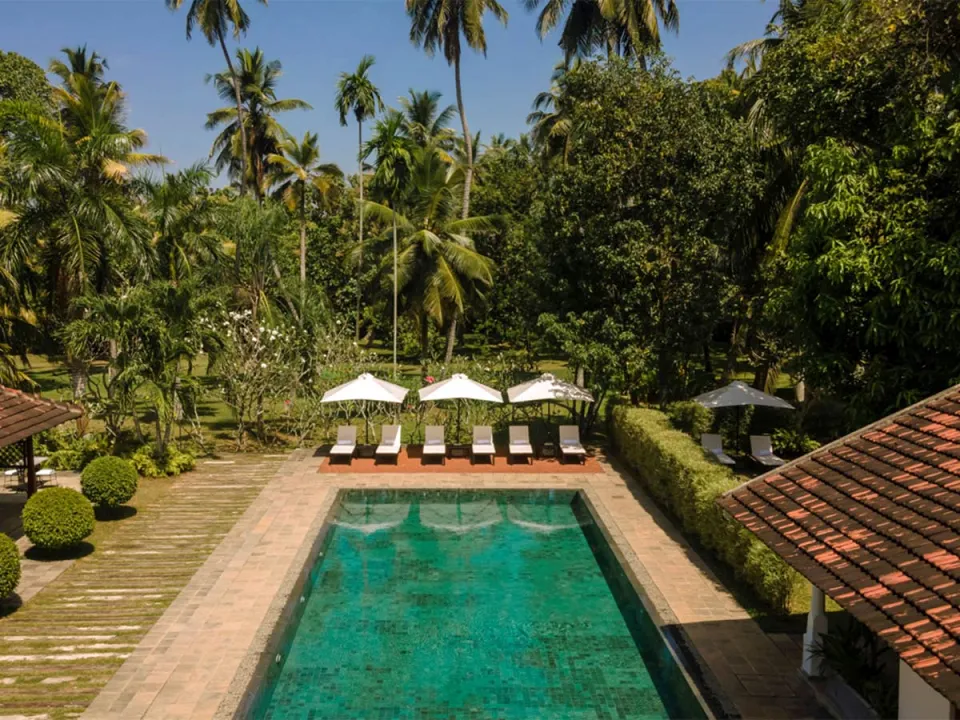 Uga Riva in Colombo & Negombo