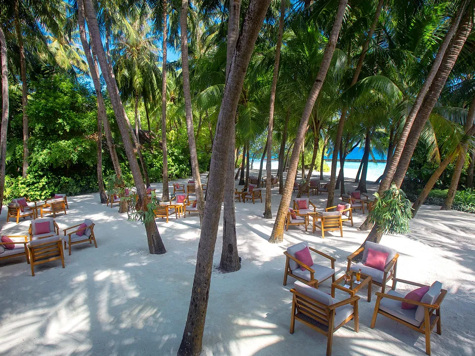 Luxury hotel gallery image — gallery photograph 8