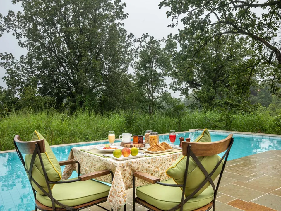 Pench Tree Lodge in Central India & Tigers