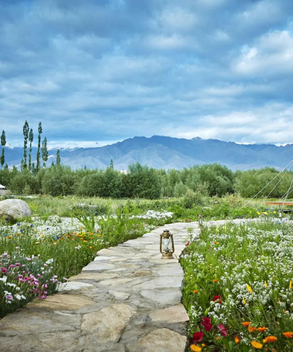 What we love — gallery photograph 2