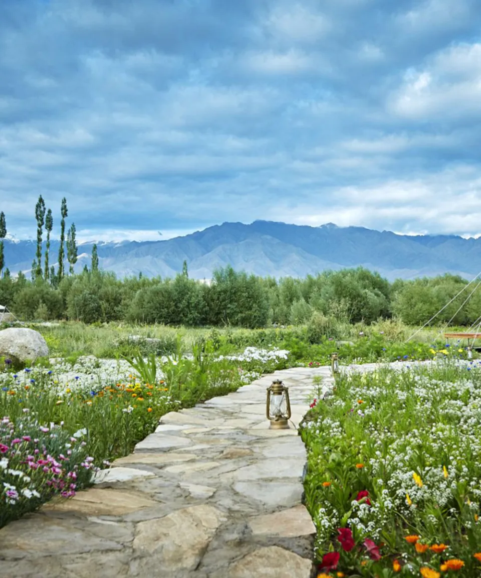 Luxury hotel gallery image — gallery photograph 2
