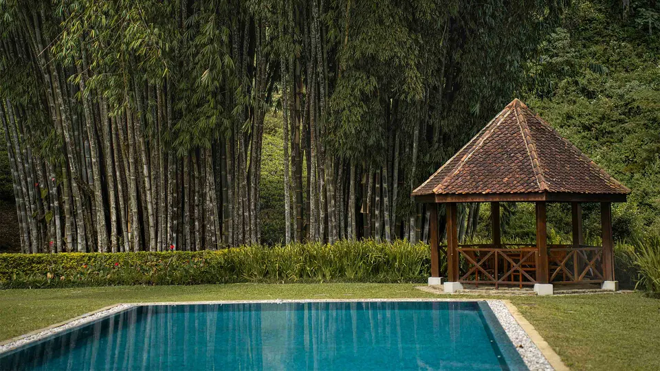 Ceylon Tea Trails Norwood — hotel photograph