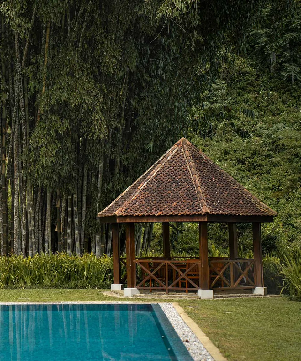 What we love — gallery photograph