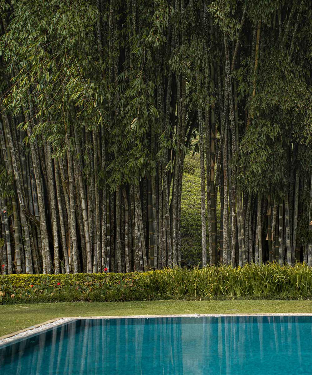 Luxury hotel gallery image