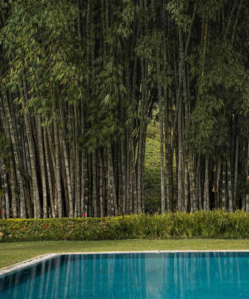 Luxury hotel gallery image — gallery photograph 3