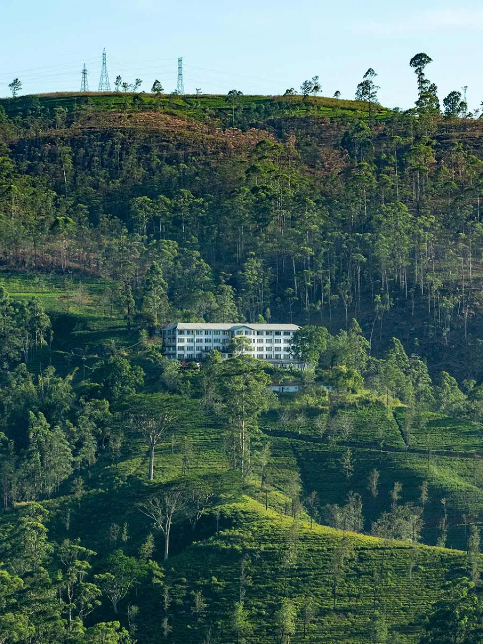Luxury hotel gallery image — gallery photograph 2
