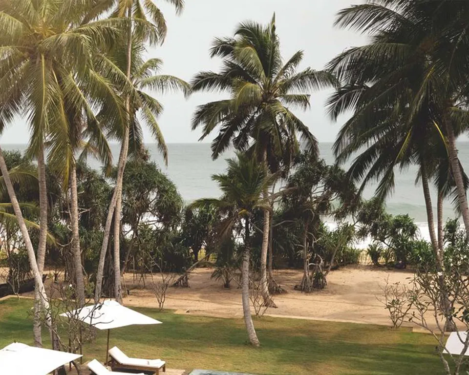 Luxury hotel gallery image — gallery photograph 5