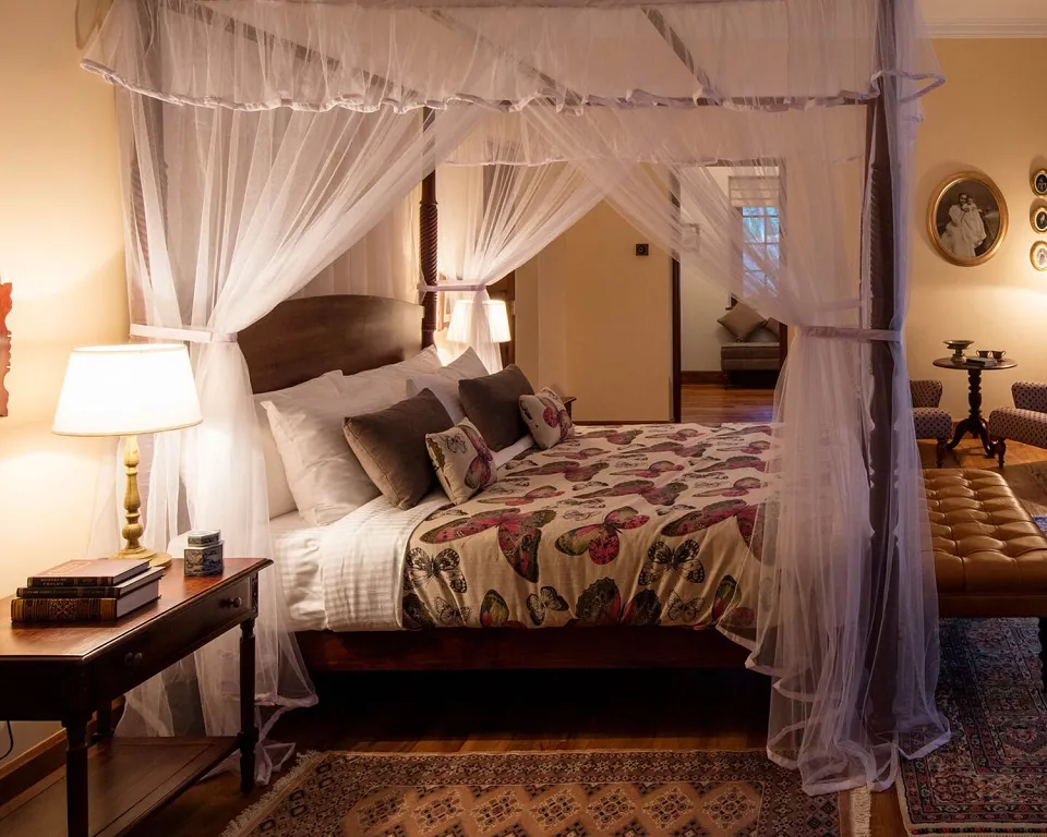 Luxury hotel gallery image — gallery photograph 2