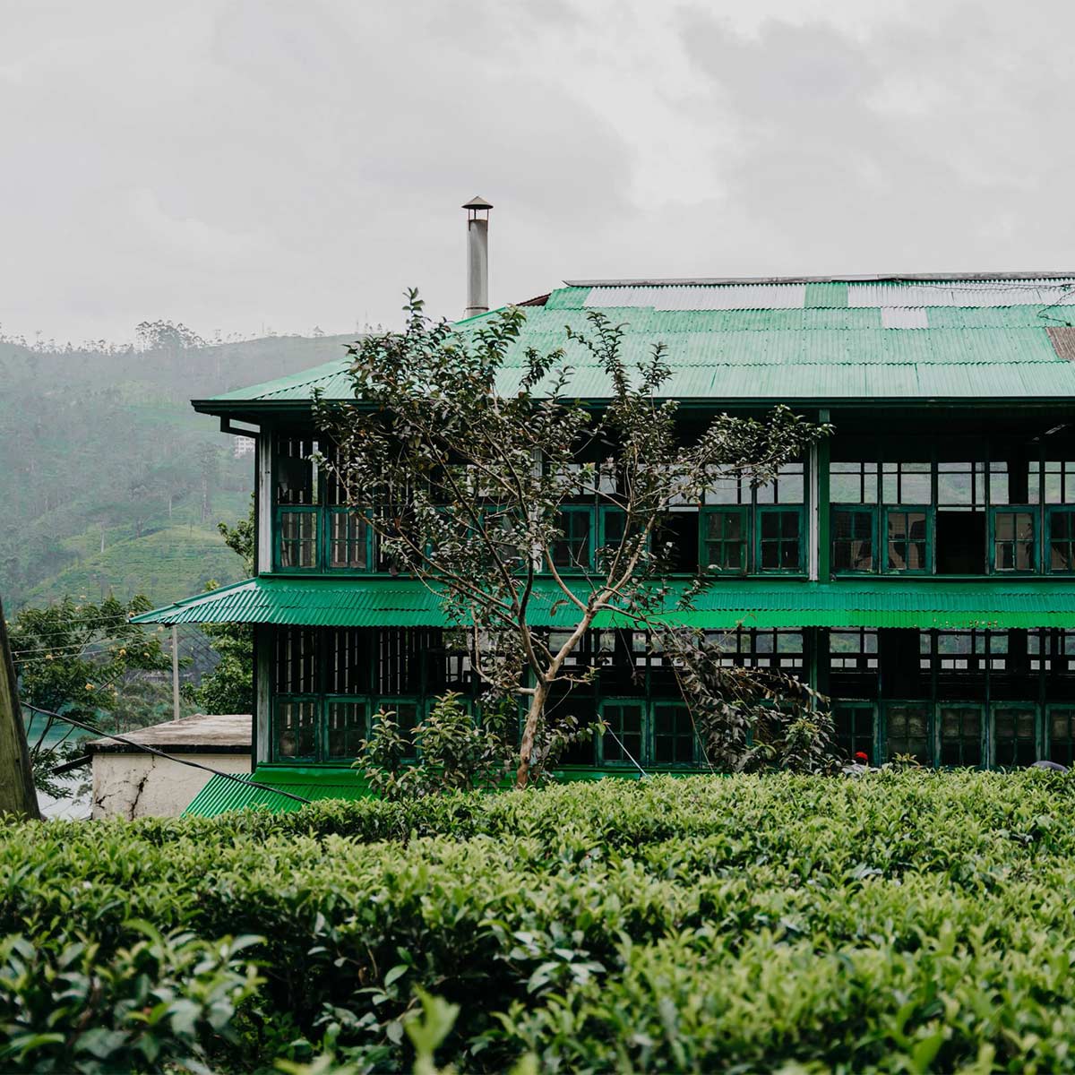 Luxury hotel gallery image