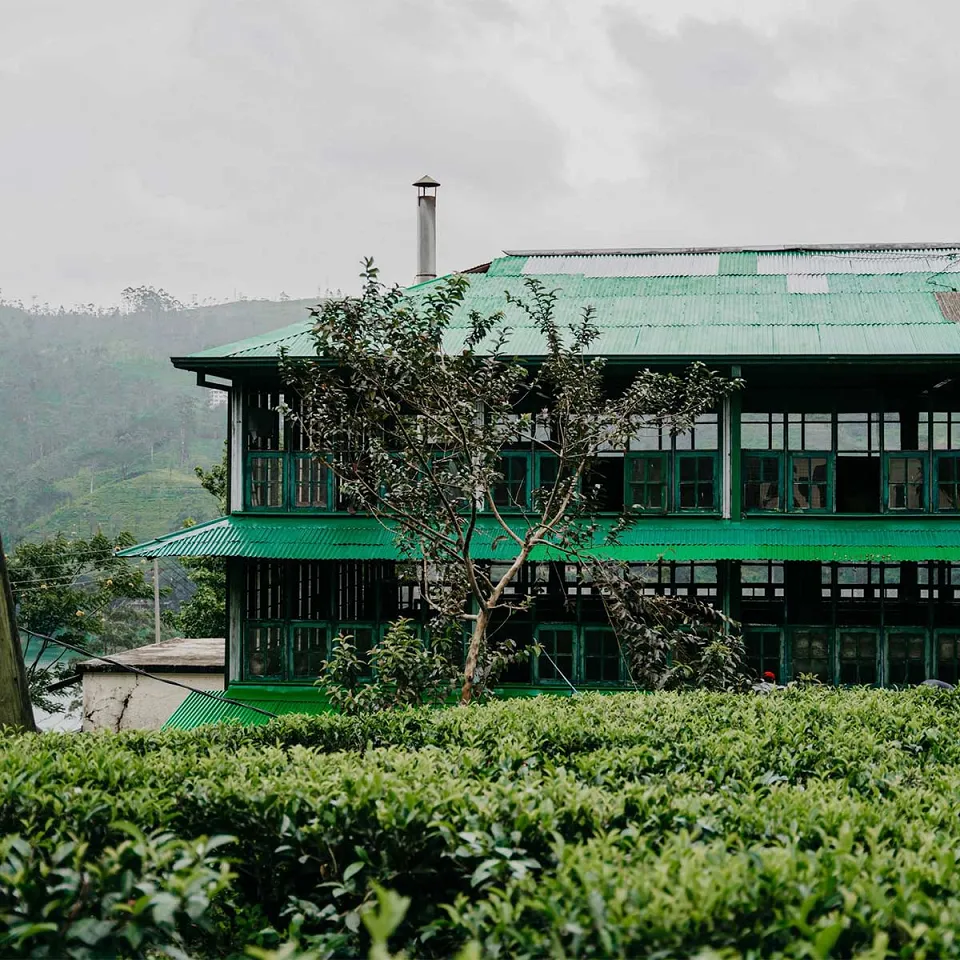 Luxury hotel gallery image — gallery photograph 4