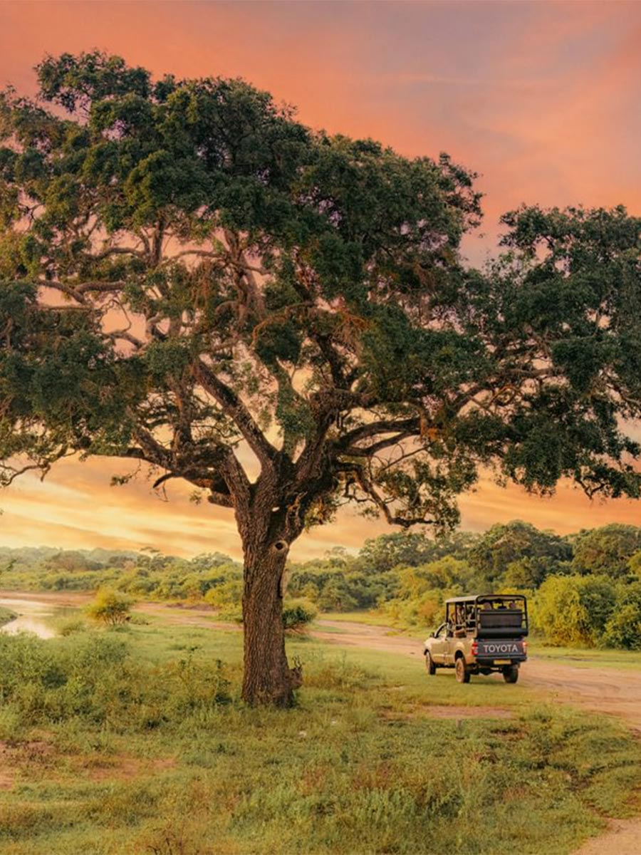 Luxury hotel gallery image