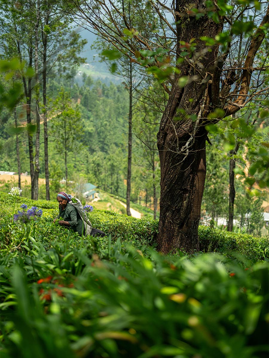 Luxury hotel gallery image