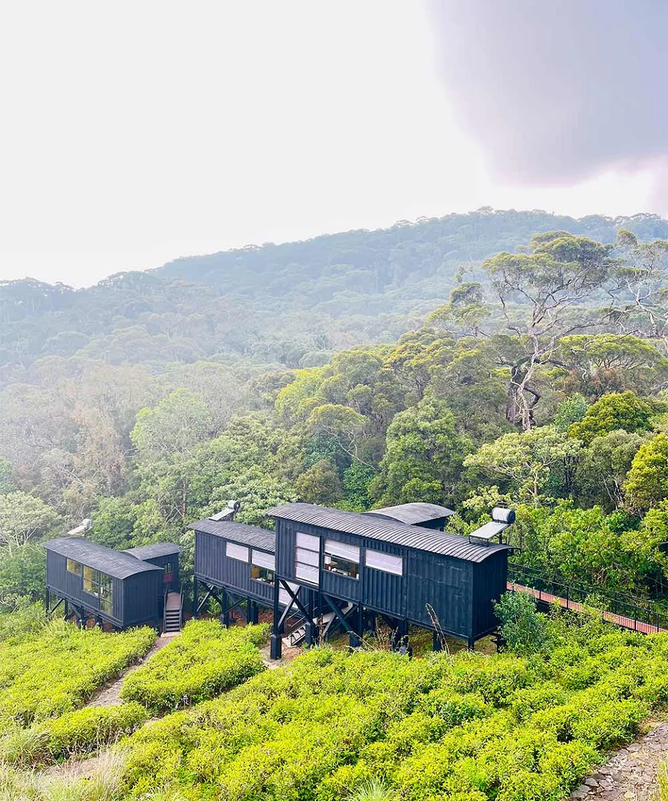 Rainforest Eco Lodge — hotel photograph