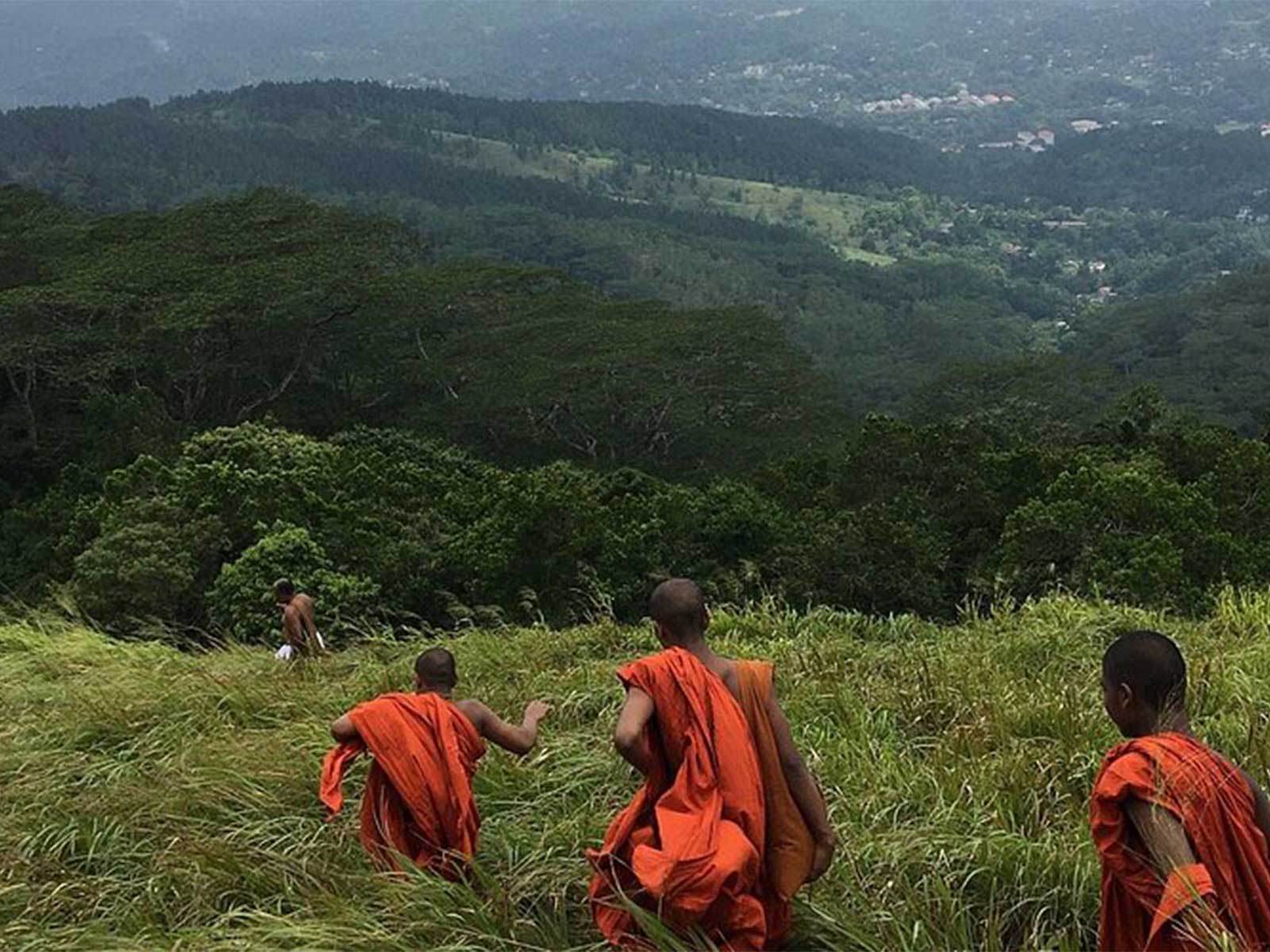 Luxury hotel gallery image