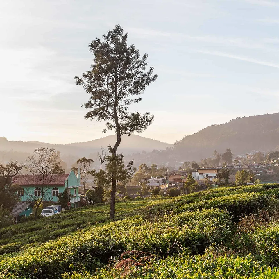 Featured places in Sri Lanka panoramic view