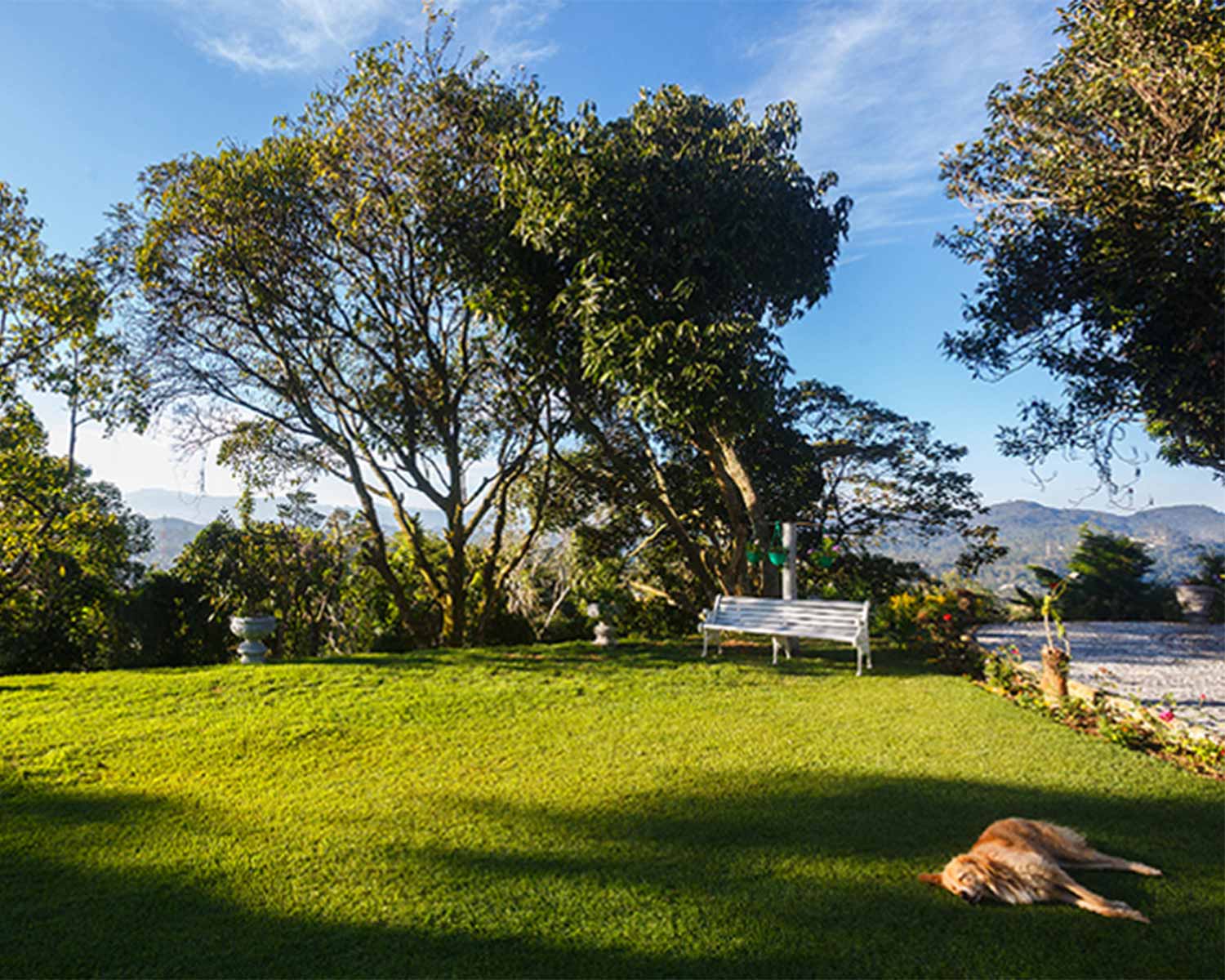 Luxury hotel gallery image