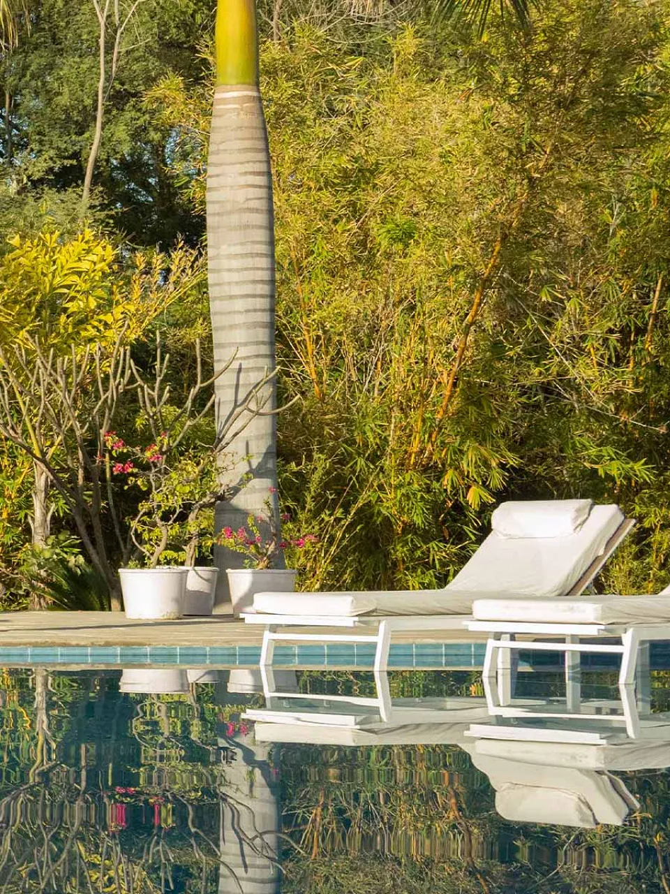 Luxury hotel gallery image — gallery photograph 3