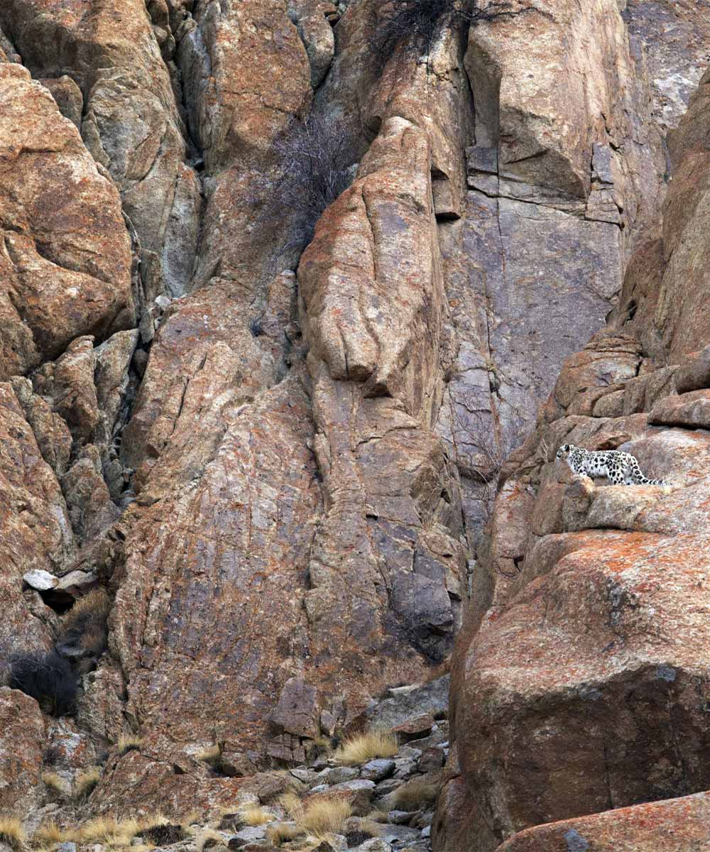 Luxury hotel gallery image