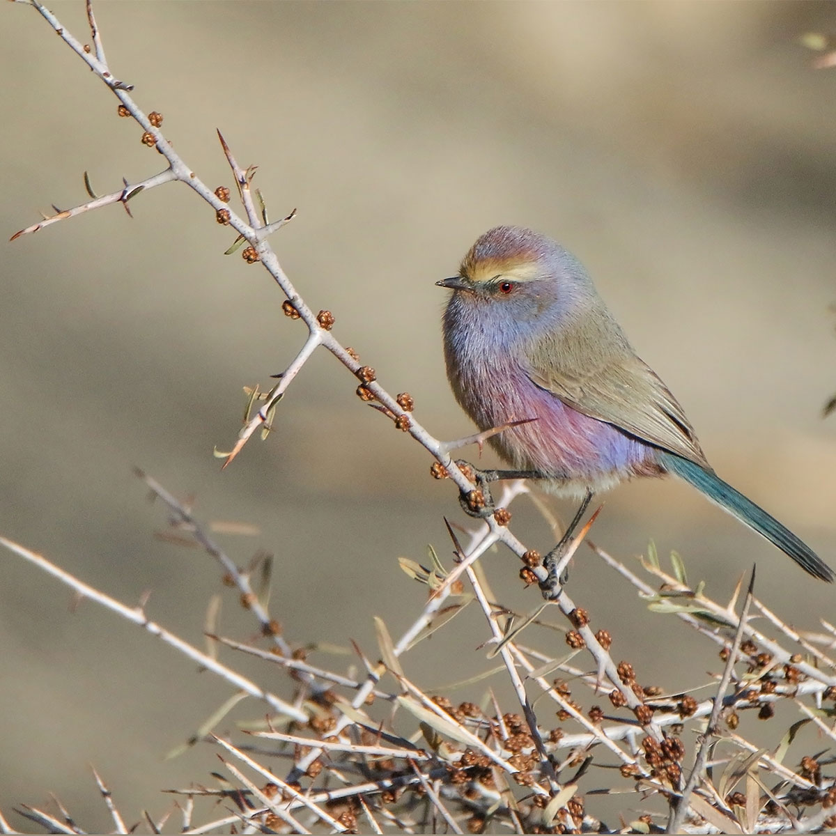 Luxury hotel gallery image