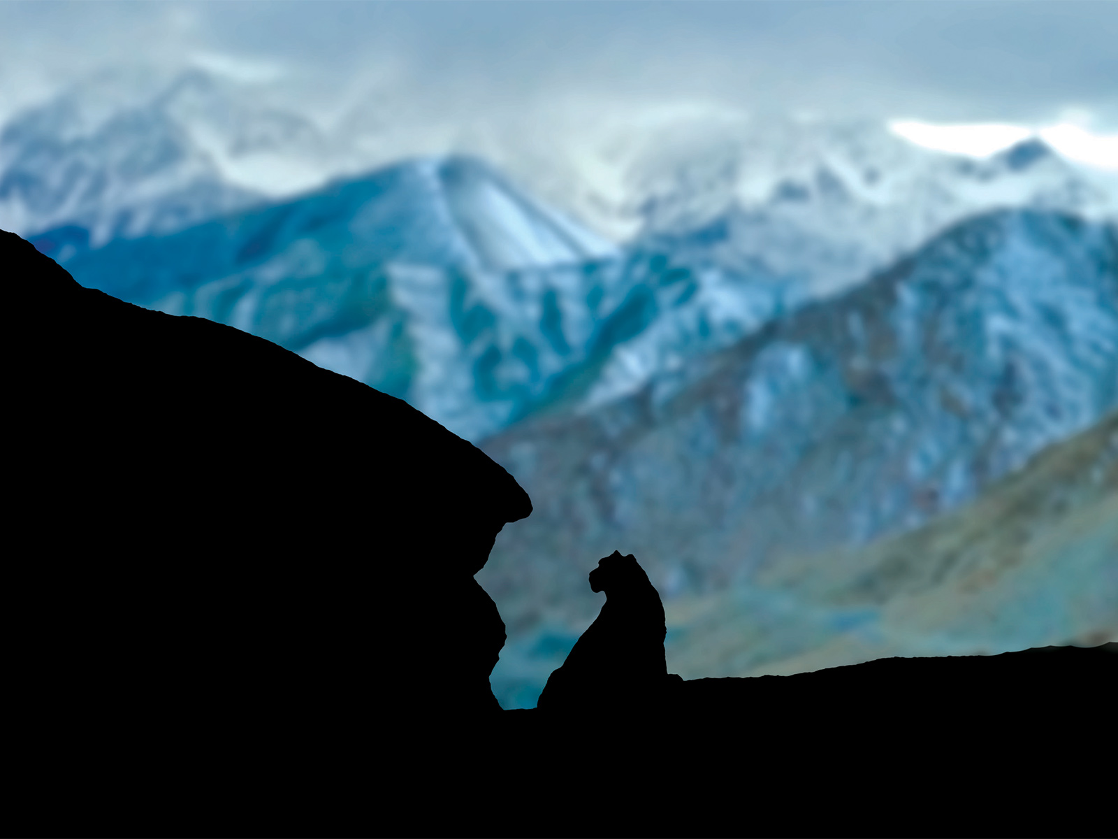 Luxury hotel gallery image