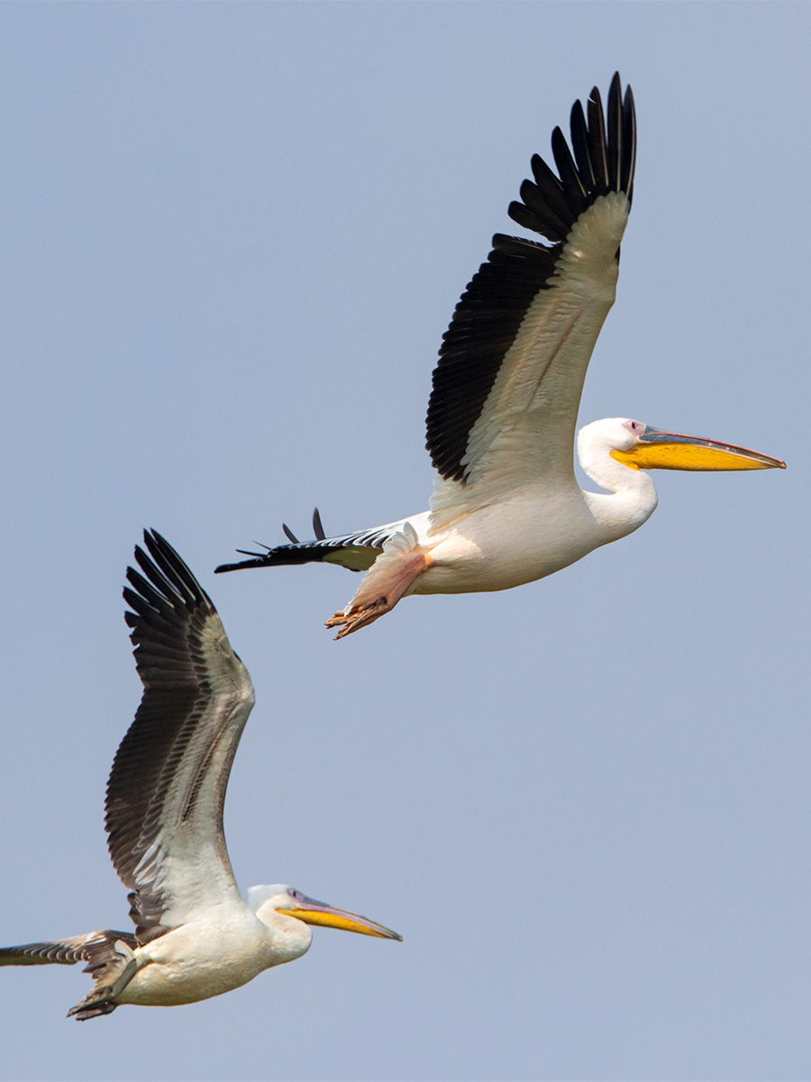 Luxury hotel gallery image