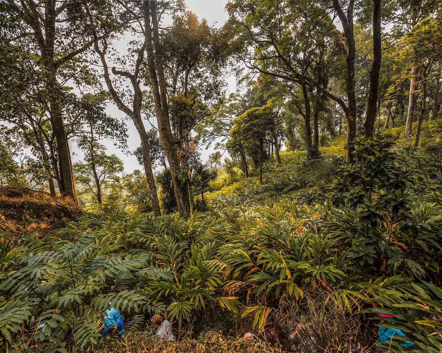 Luxury hotel gallery image