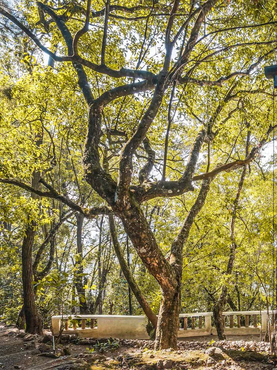 Luxury hotel gallery image