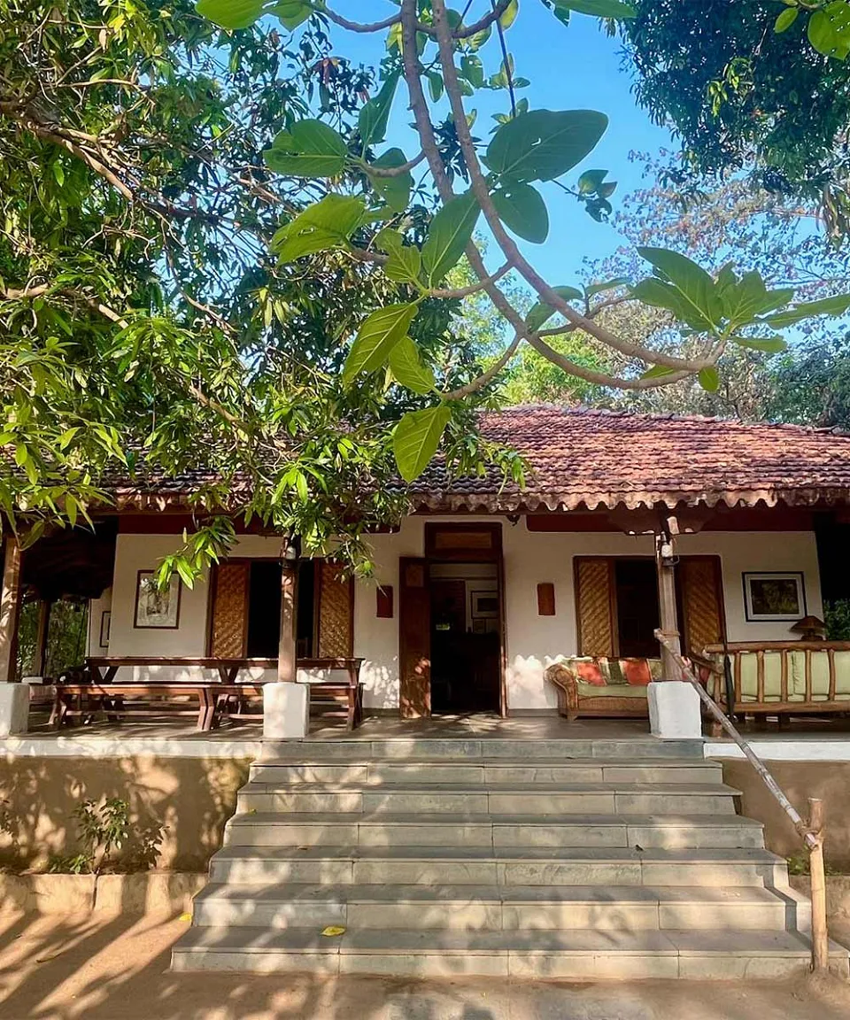 What we love — gallery photograph 4